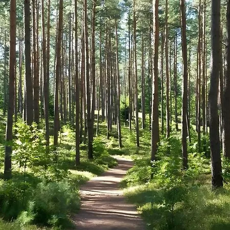 Am Nationalpark 8 * 클라우스도르프멕클렌부르크보르폼메른